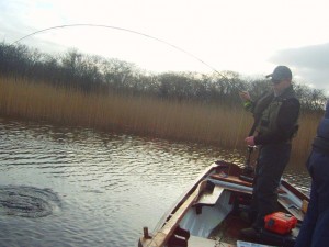 pike (15)