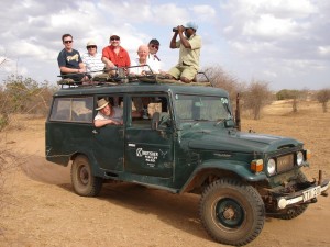 If heading for Kenya do not miss the chance of a safari!