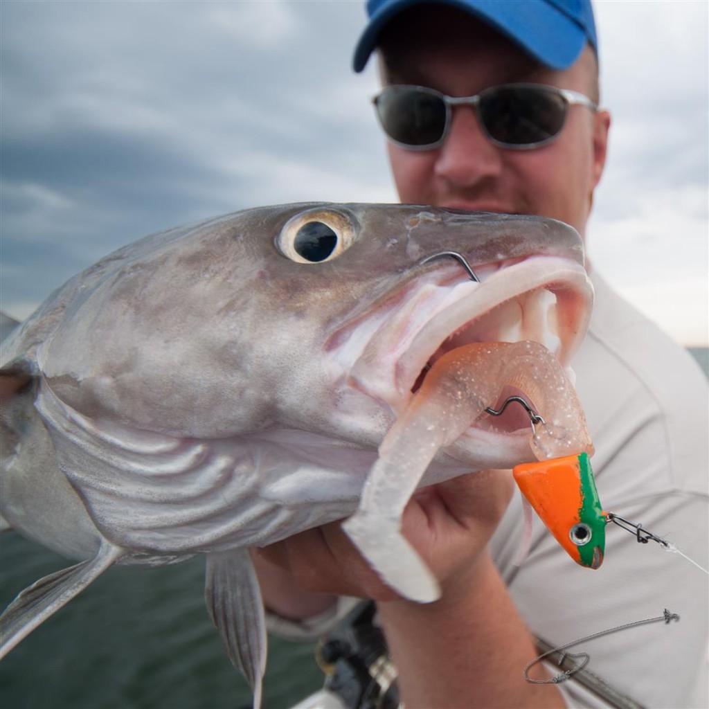 psycho-whacko-go-bass-fishing-8 (Large)