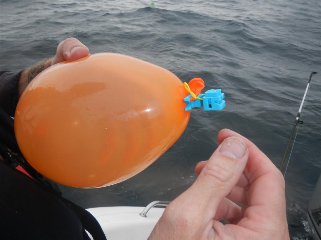 A balloon clip from Balloon Fisher King