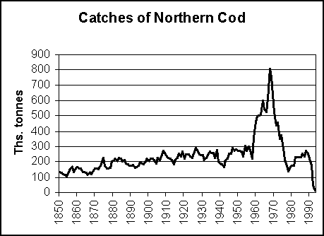 nothern-cod
